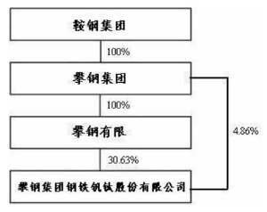 攀钢集团钢铁钒钛股份有限公司2010年度报告