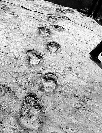 神木栏杆堡惊现神秘“大脚印” 1.5亿年前恐龙留下(组图)-搜狐滚动