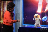 资料：《中国达人秀》第二季初选选手-魏玉琴