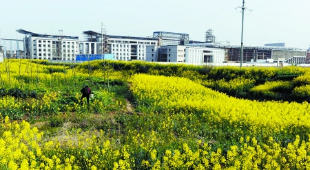 其中,安徽省安庆市望江县作为一个财政穷县竟在建"超过8个美国白宫"的