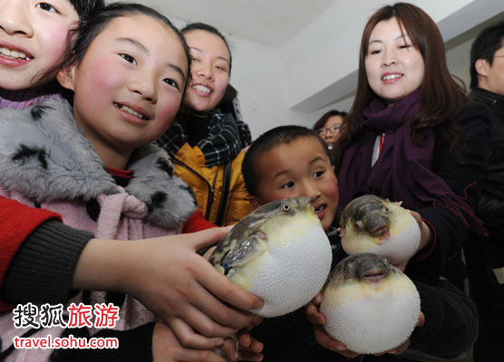 江苏海安第二届中国河豚节举行