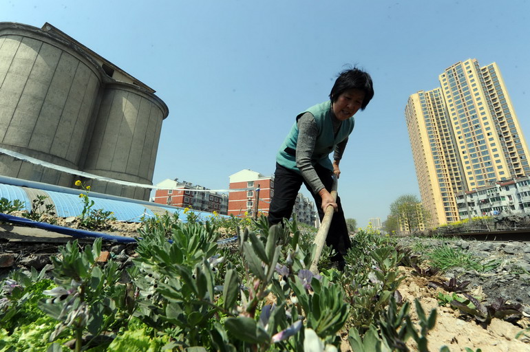 3月29日,王启凤在居住的水泥罐子(左侧建筑)旁边的空地上种植蔬菜.