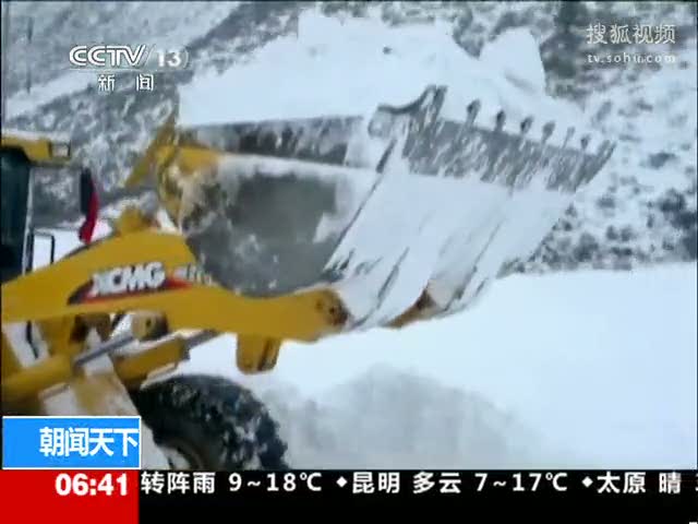 道雪