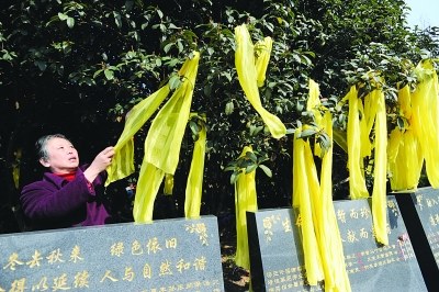 功德园昨举行生态葬公祭仪式,市民在树上挂上缅怀先人的黄丝带.宋峤摄