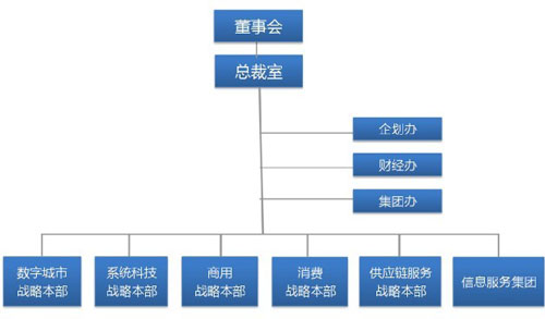 神州数码架构图 搜狐IT配图