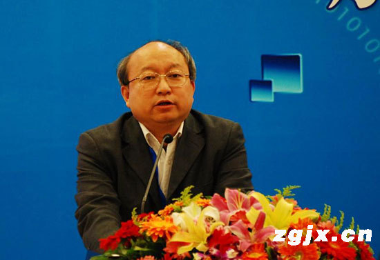小组召集人中国新闻社副总编辑张明新发言 冯振宇