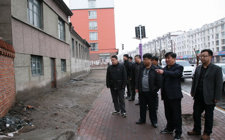 4月7日,吉林省扶余县副县长高勇(右二)带领市政等部门负责人在当地