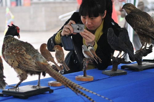 #(社会)(2)浙江台州举办爱鸟周活动