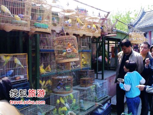北京花鸟虫鱼市场攻略