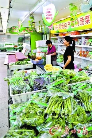 昨日,东川新街市"农超对接"店对面的有机蔬菜档生意受到影响.