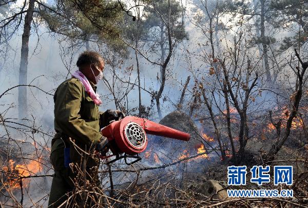 抚宁县人口_-- 图片浏览(3)