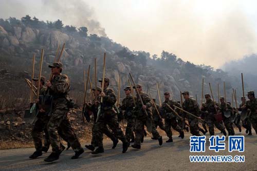 图文:河北抚宁林火已超7000亩 近万人参与扑火