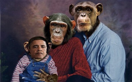 奥巴马照片遭茶叶党人恶搞 头像被安到黑猩猩