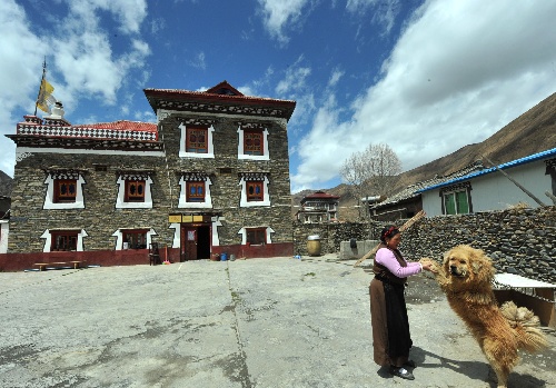 (社会)(2)康巴藏区新农村