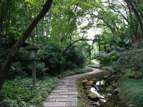 兰圃品赏幽雅兰花