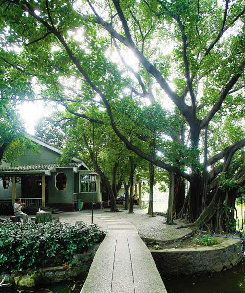 流花西苑看"盘景之家"园林美景
