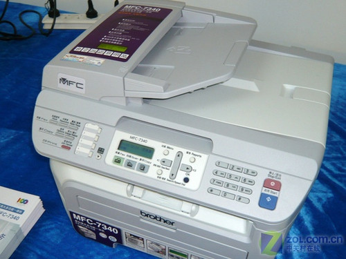 Img306569696.jpg