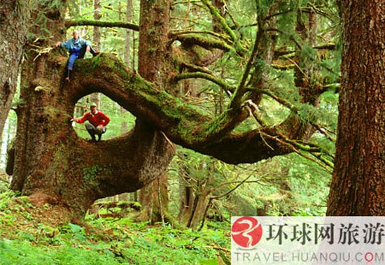 最热门的12个热带雨林探险地