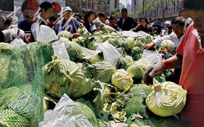 上海家乐福滞销卷心菜遭疯抢 菜叶满地菜农心