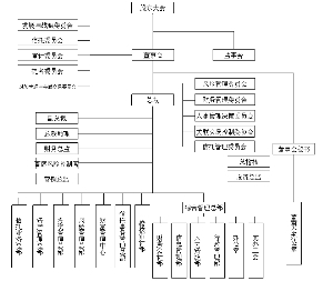 公司年报审计会计师事务所:中瑞岳华会计师事