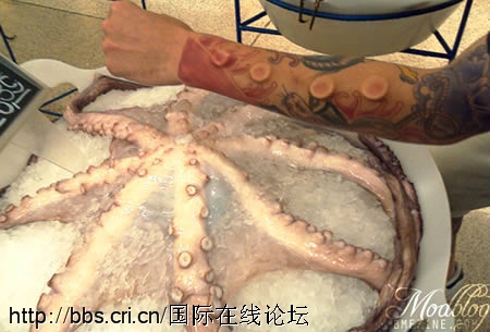 高清:揭秘最诡异人体植入 章鱼触手可植入胳膊