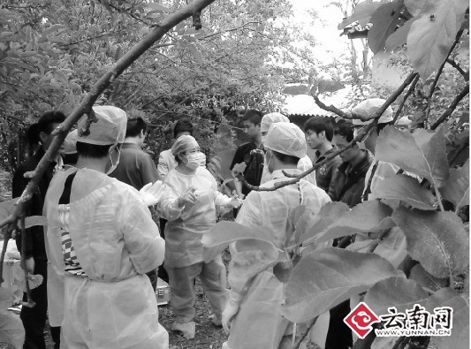 云南鹤庆一男子杀死4男1女伤1人后自杀身亡(图)