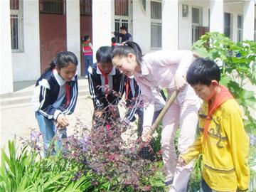 图文:汉川市西江小学全面推进绿色教育