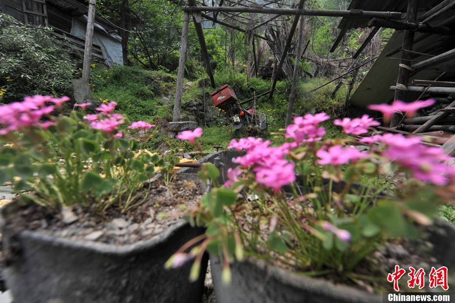 汶川大地震震源点见闻--沟口竖立纪念石(组图)