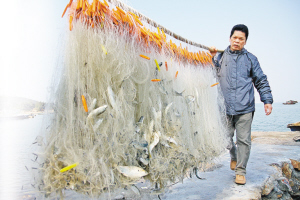 深圳海鲜价格_深圳海鲜_海鲜自助餐