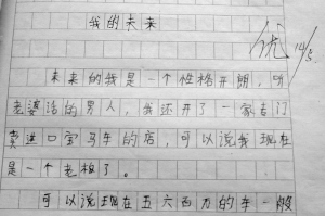 12岁男孩写作文《我的未来》开海陆空轿车上