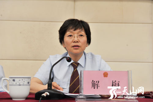 新疆法院网正式开通 搭建司法便民平台(组图)