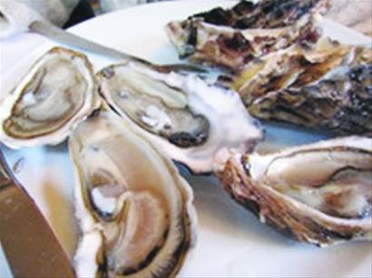 日本地震震碎法国牡蛎产业复苏计划(图)