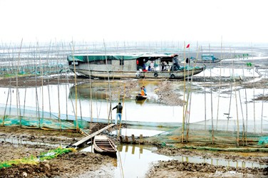 洪湖市总人口_洪湖市赵玉清图片(2)