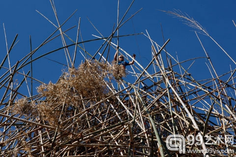 艺术家道格与麦克兄弟竹林展登陆威尼斯(组图