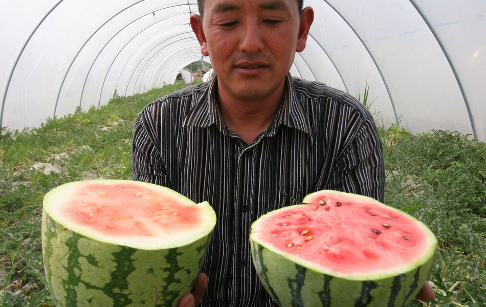 Img309259893.jpg