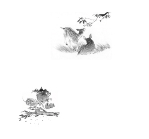 《诗经》里的蔬菜(图)