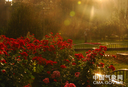 雨水一扫闷热 北京天气大变脸(组图)