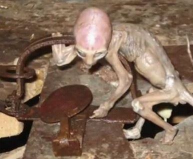 揭秘ufo出现时的8种怪象 外星人照片震惊世界(组图)