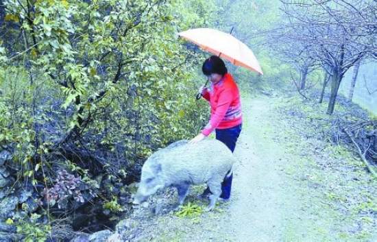 浦江县白马镇人口_揭开金华浦江蒿溪未解之谜.图(3)