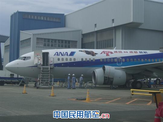 成都航空波音737,四川航空波音737 蝗湛6月19日开航的成田至成都的熊猫贴图飞机-搜狐滚动; 以波音737