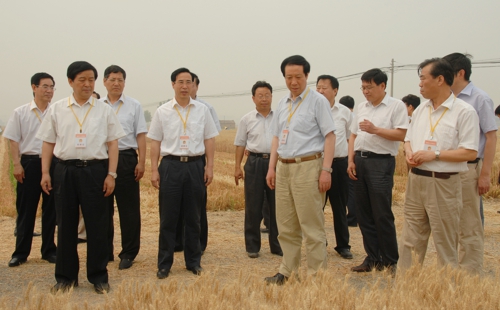 淄博市人大常委会调研农机合作社建设情况(组图)