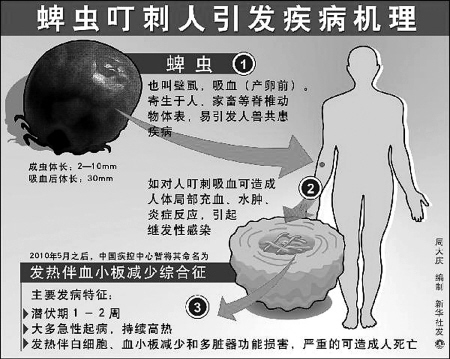 全国通报280例"蜱虫病"病例 陕西省尚未发现(图)