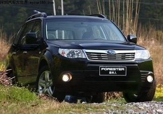 Img311312501.jpg