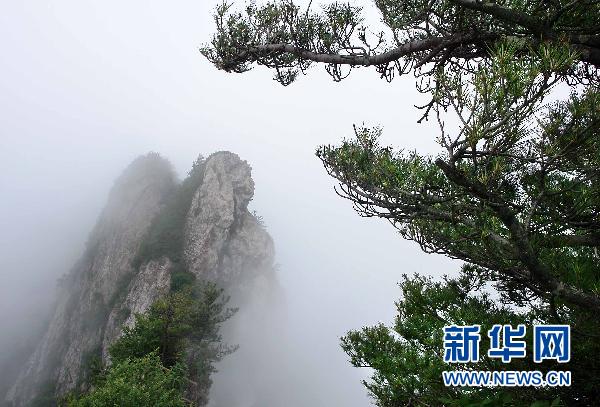 老君山风景区在雨后云雾弥漫,山峰,古庙,山道,缆车在峰林间若隐若现