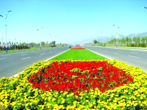 呼和浩特市回民区新区成吉思汗西延景观街图片