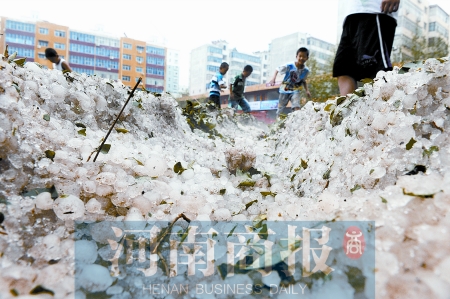 鸡蛋大的冰雹砸下来,像放鞭炮(图)