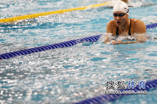图文:中国游泳队公开训练 刘子歌蛙泳有架势-刘