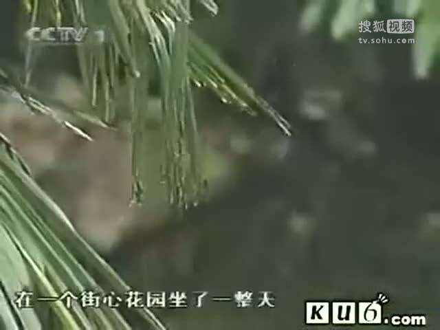 视频：19岁花季少女