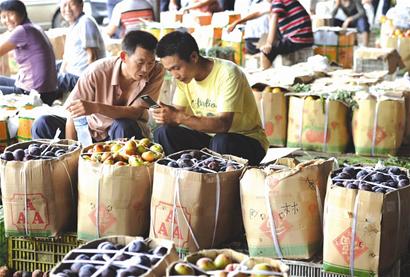 图文:油桃滞销