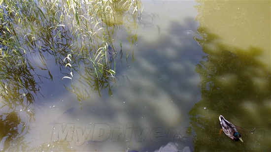 F\/2.2大光圈虚化背景 诺基亚N9拍照样张高清图